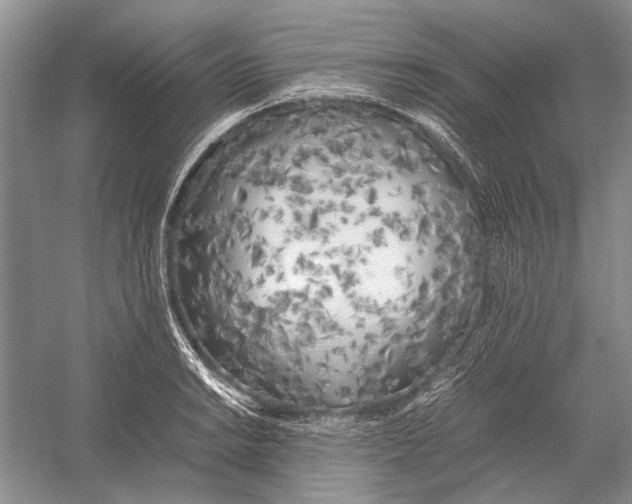 X0000052971038200508051009