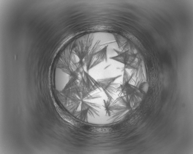 X0000052971039200508051009