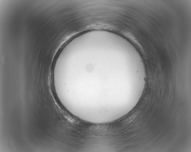 X0000052971040200508051009