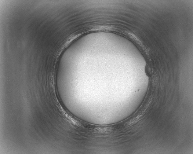 X0000052971041200508051009