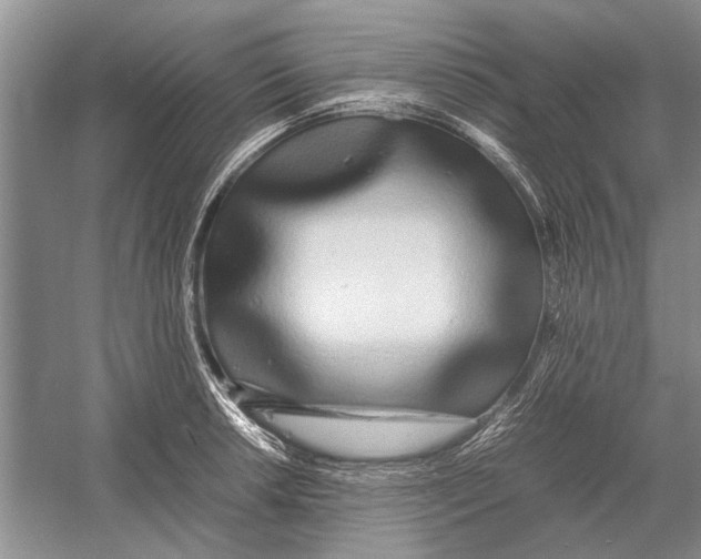 X0000052971042200508051009