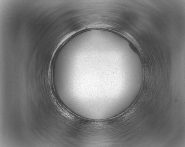 X0000052971044200508051009