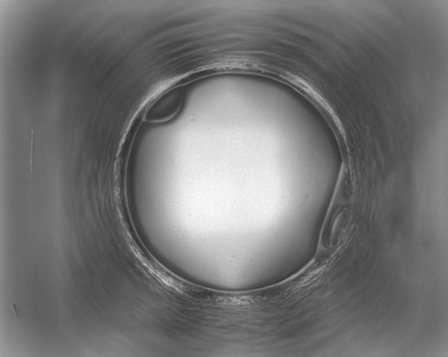 X0000052971045200508051009