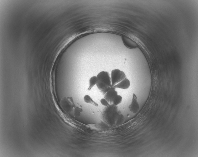 X0000052971047200508051009