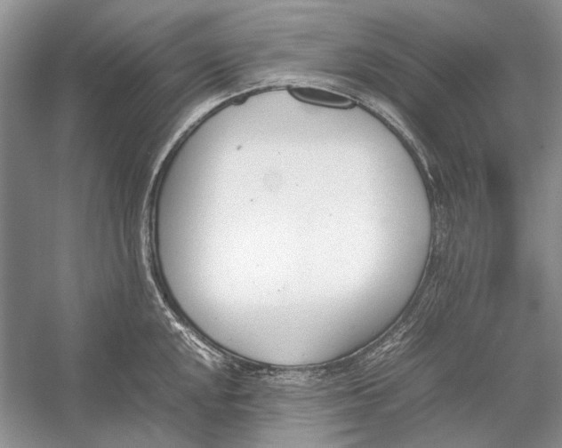 X0000052971048200508051009