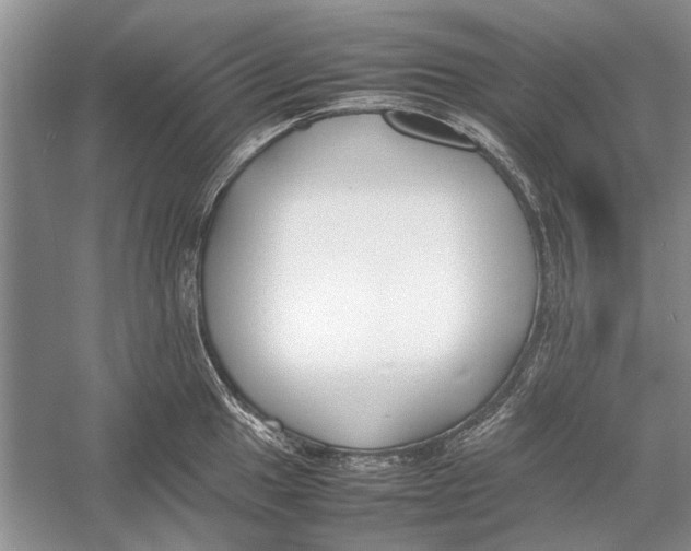 X0000052971049200508051009