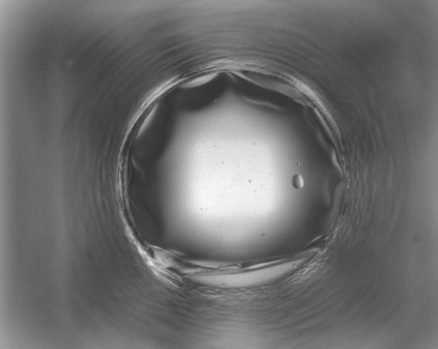 X0000052971050200508051009