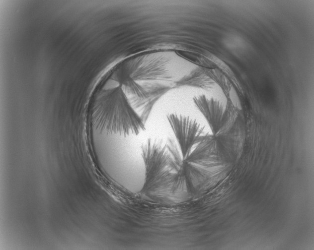 X0000052971051200508051009