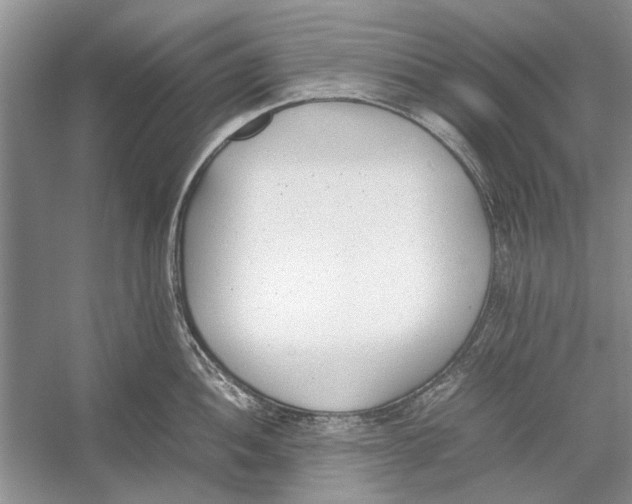 X0000052971052200508051009