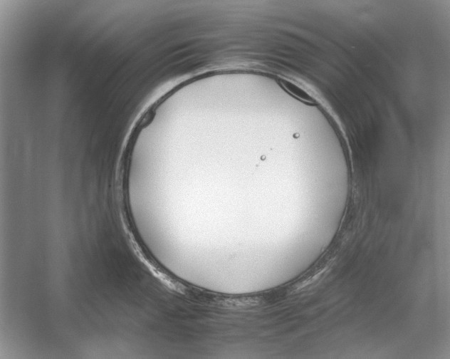 X0000052971053200508051009