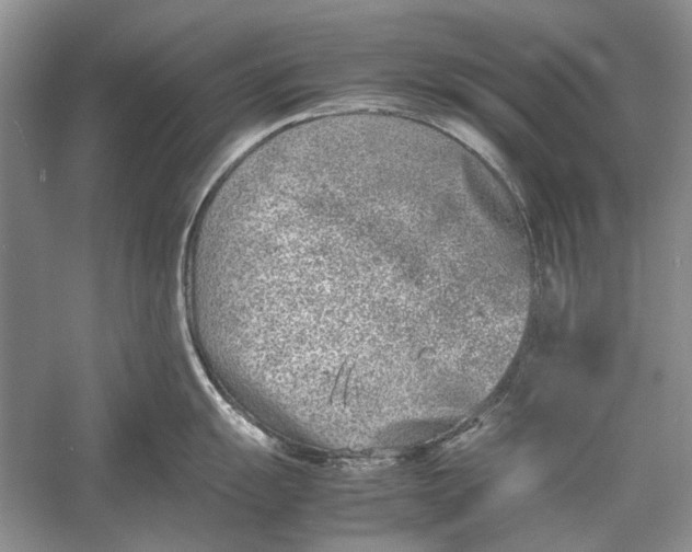 X0000052971055200508051009