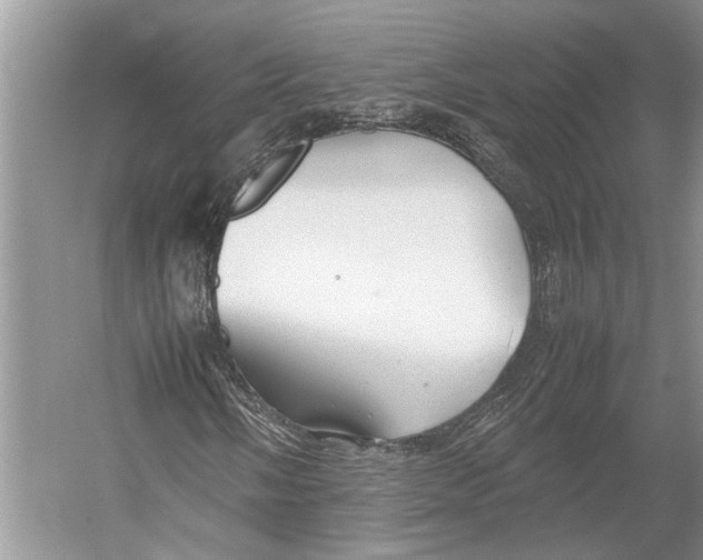 X0000052971058200508051009