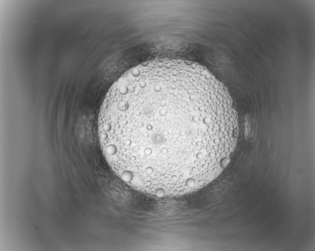 X0000052971059200508051009