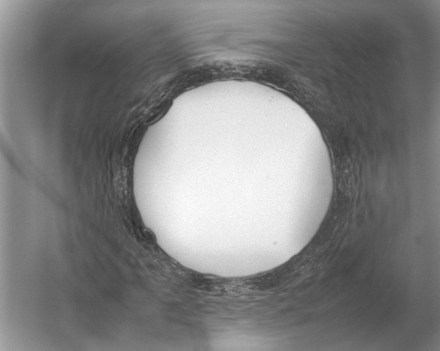 X0000052971061200508051009