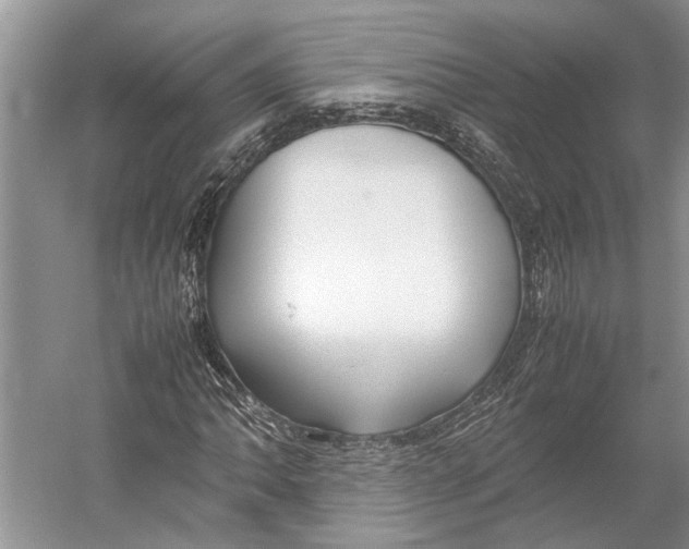 X0000052971062200508051008