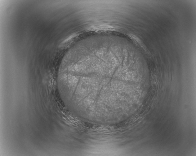 X0000052971063200508051008