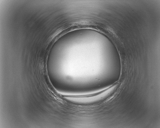 X0000052971065200508051008