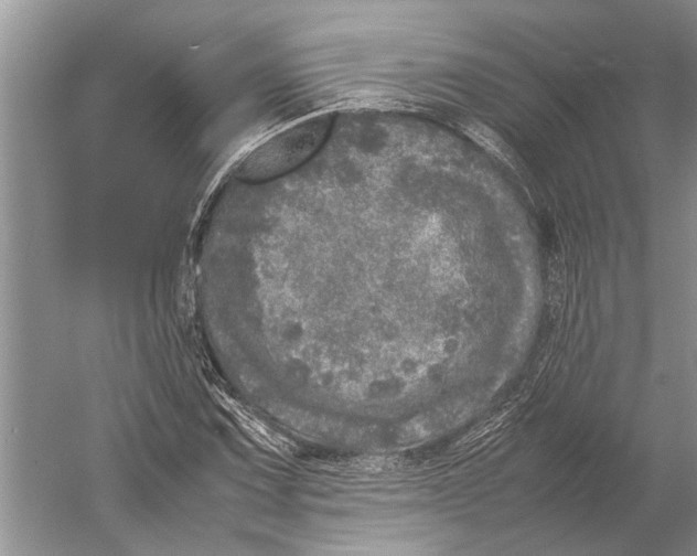 X0000052971067200508051008