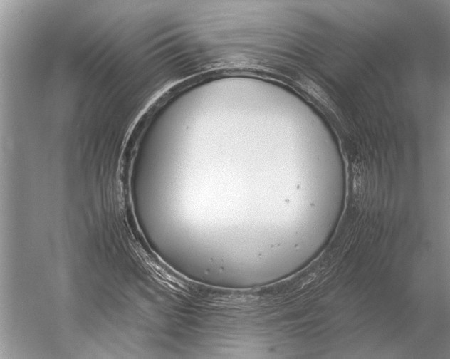 X0000052971068200508051008