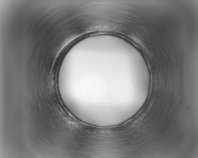 X0000052971070200508051008