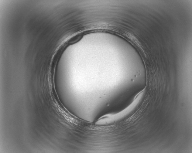 X0000052971072200508051008