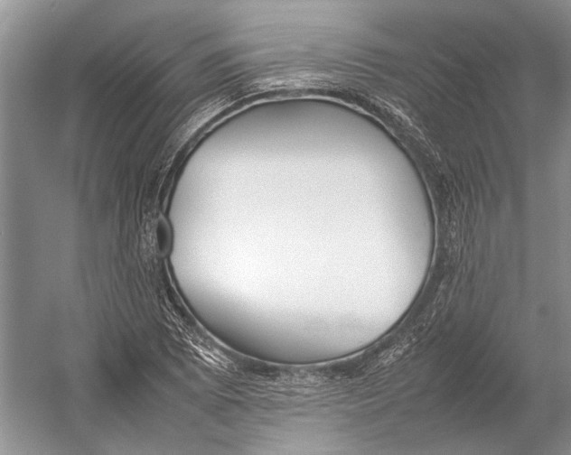 X0000052971073200508051008