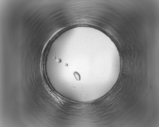 X0000052971076200508051008