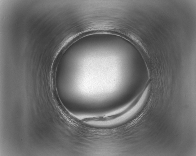 X0000052971077200508051008