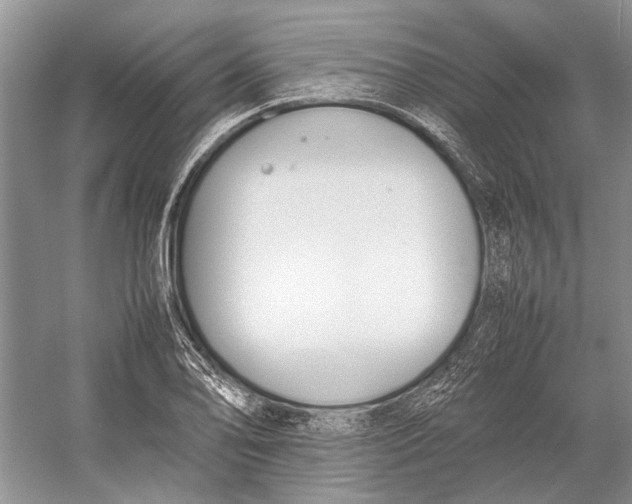 X0000052971078200508051008