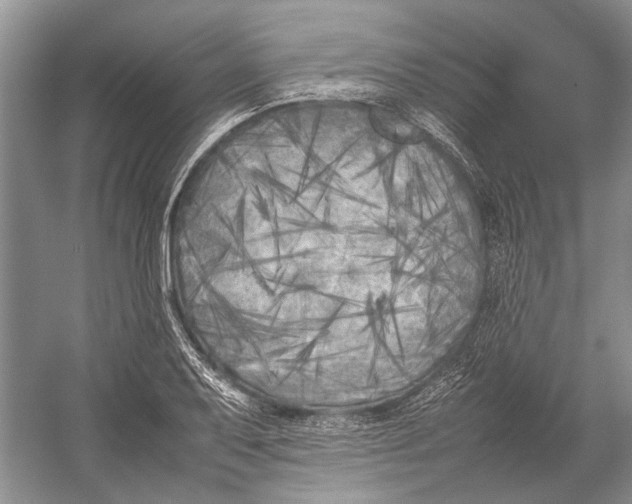 X0000052971079200508051008