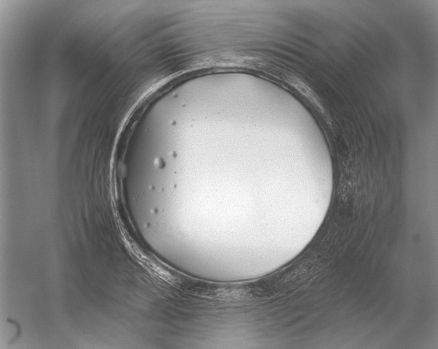 X0000052971080200508051008