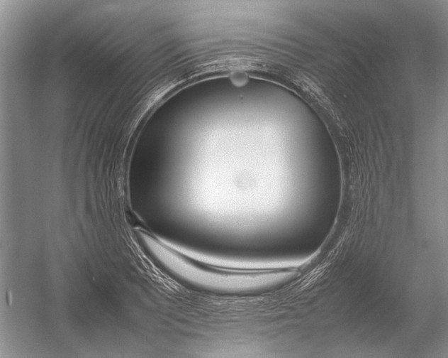 X0000052971081200508051008