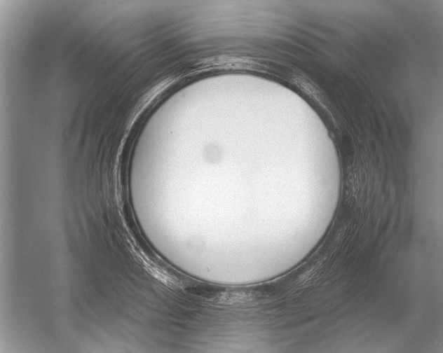 X0000052971082200508051008