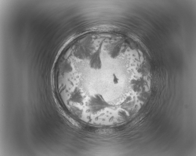 X0000052971083200508051008