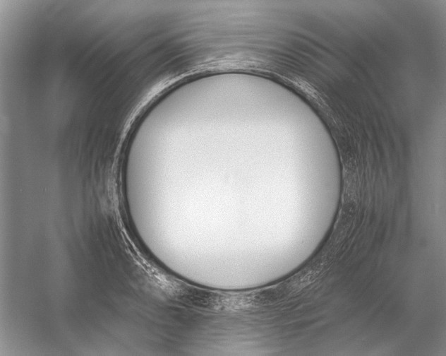 X0000052971086200508051008