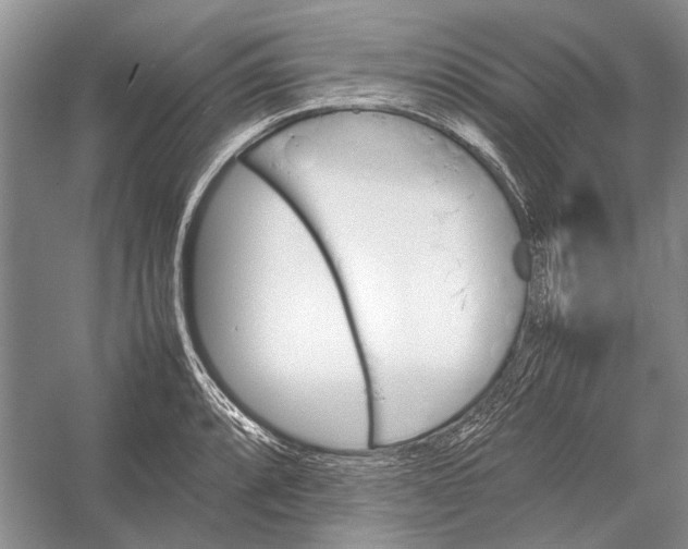 X0000052971088200508051008