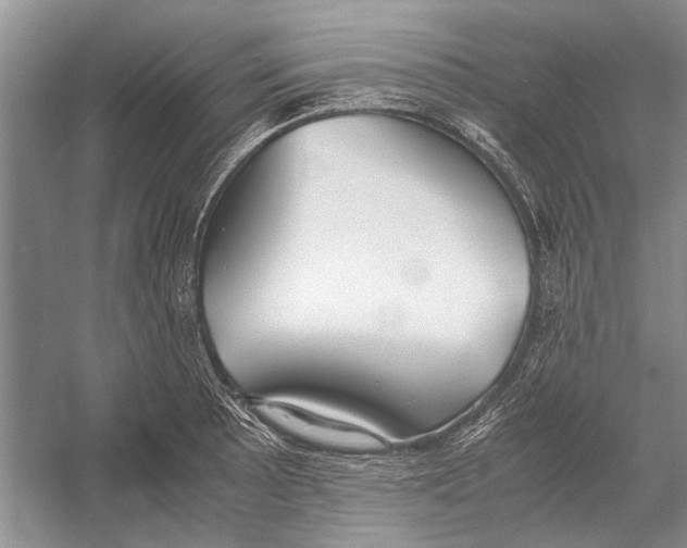 X0000052971089200508051008