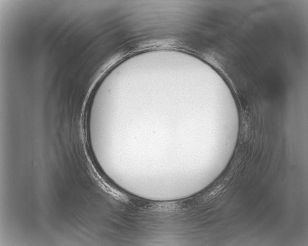 X0000052971090200508051008