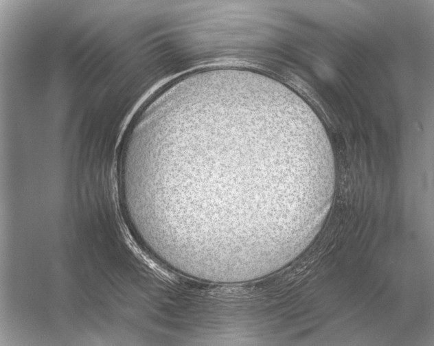 X0000052971092200508051008