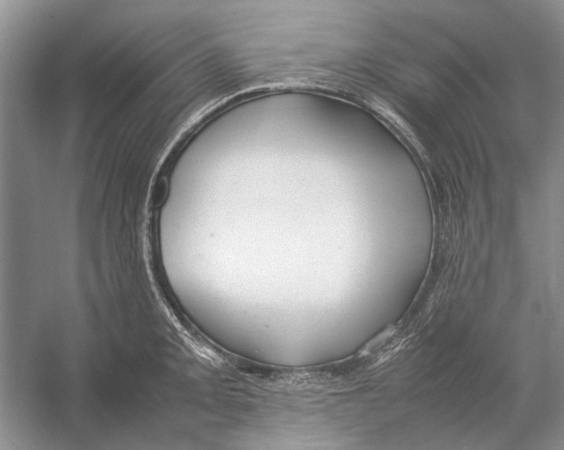 X0000052971093200508051008