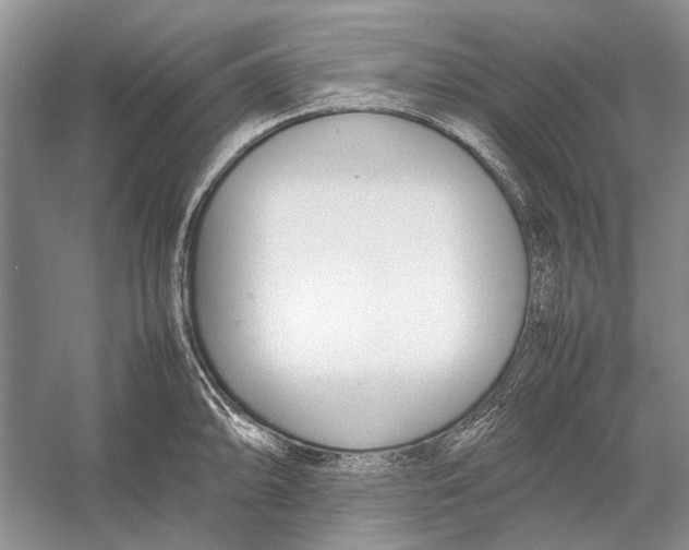 X0000052971094200508051008