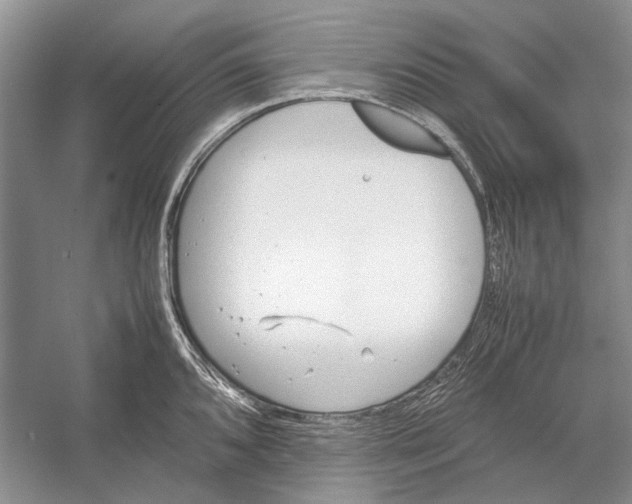 X0000052971096200508051008