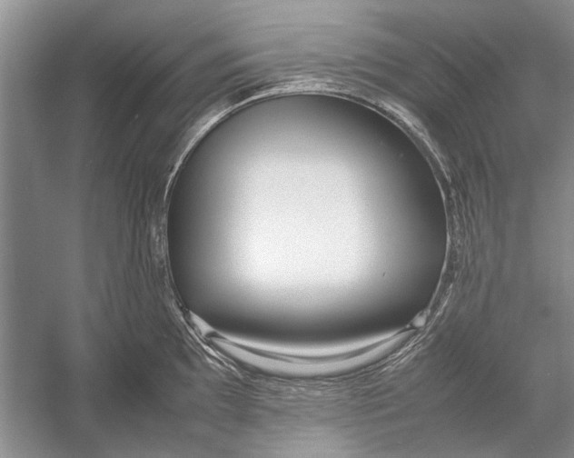 X0000052971097200508051008