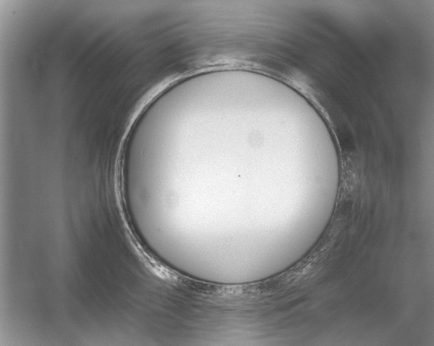 X0000052971098200508051008