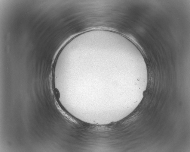 X0000052971100200508051008