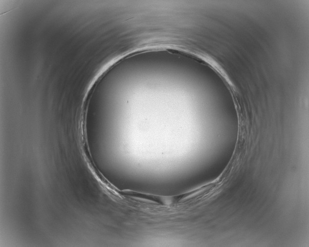 X0000052971101200508051008