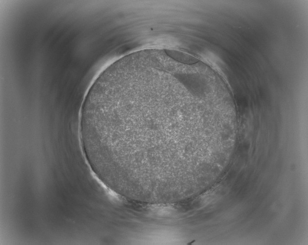 X0000052971103200508051008