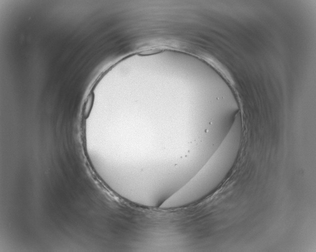 X0000052971104200508051008