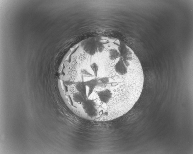 X0000052971105200508051007