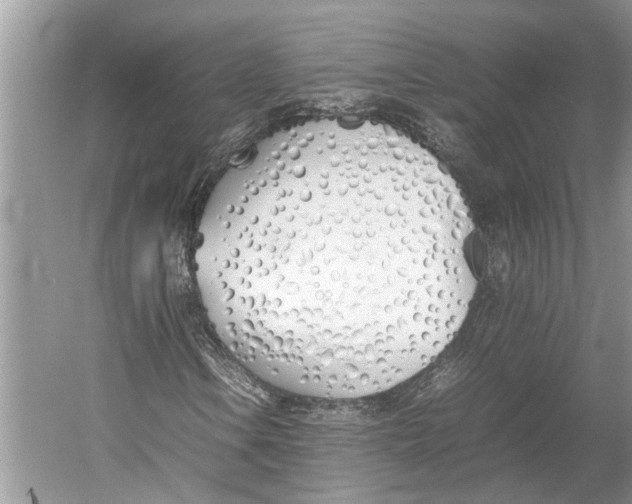 X0000052971106200508051007